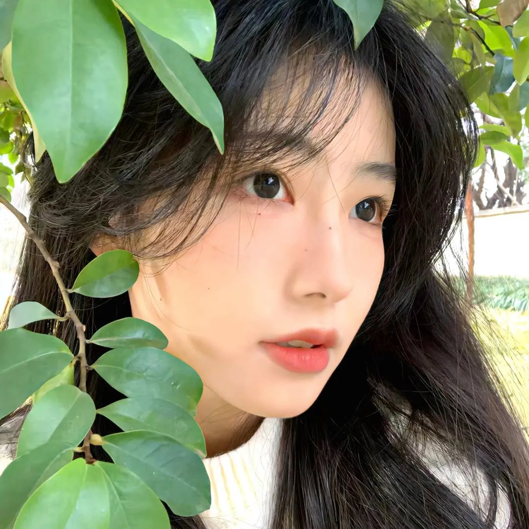 缘尽情绝