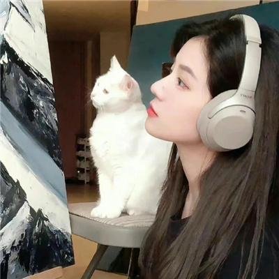 金毛喜迎冬